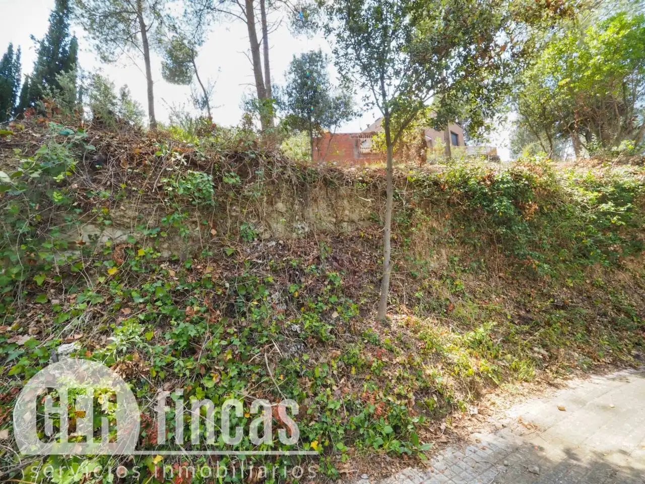 Rural land for sale in Calle Josefa Comellas, imagen 12