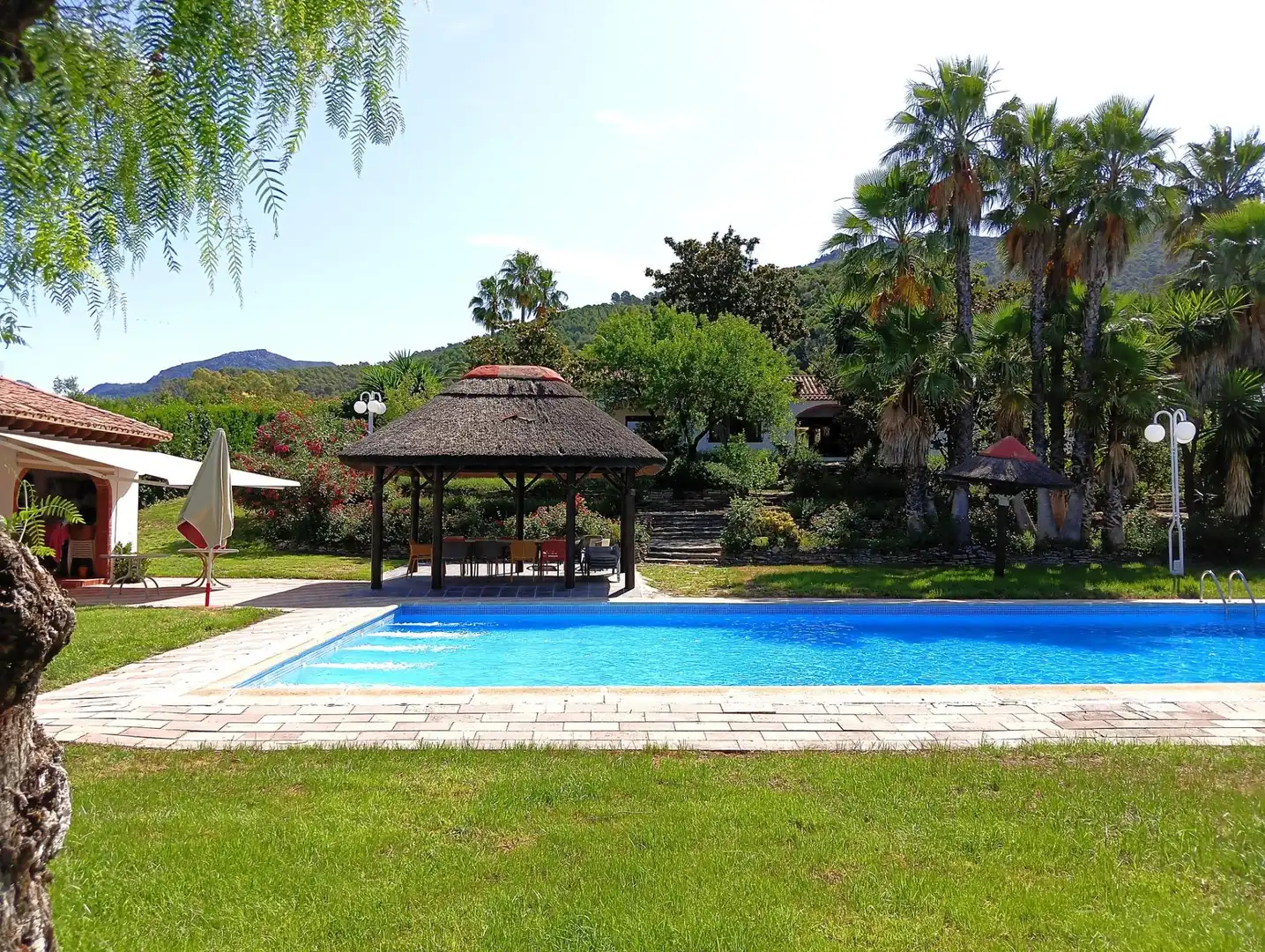 Piscina de Casa o xalet en venda en El Bosque amb Piscina comunitària