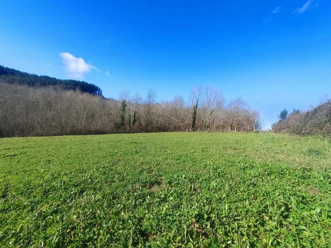 Terreno en venta en Abadiño 