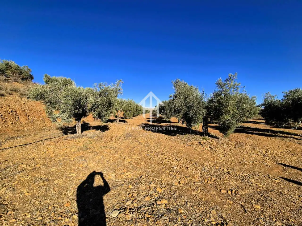 Lands and plots for sale in Lanteira, imagen 28