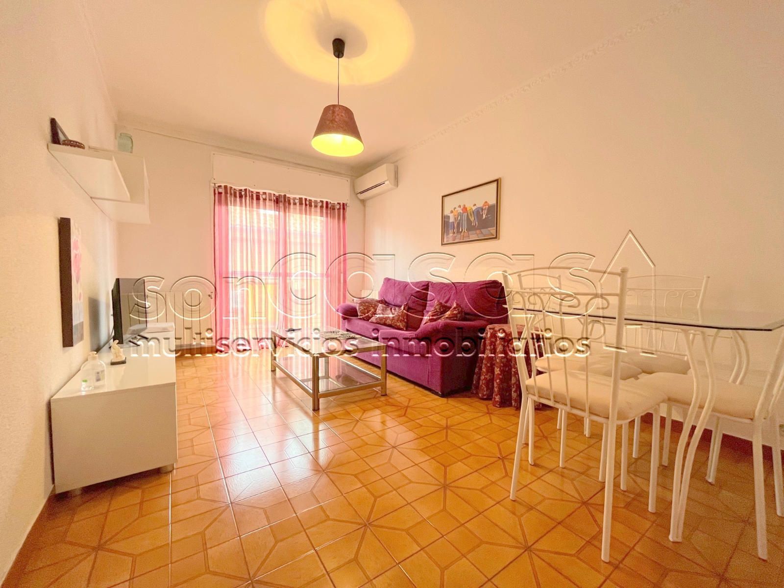 Living room of Flat to rent in  Madrid Capital  with Air Conditioner, Heating and Terrace