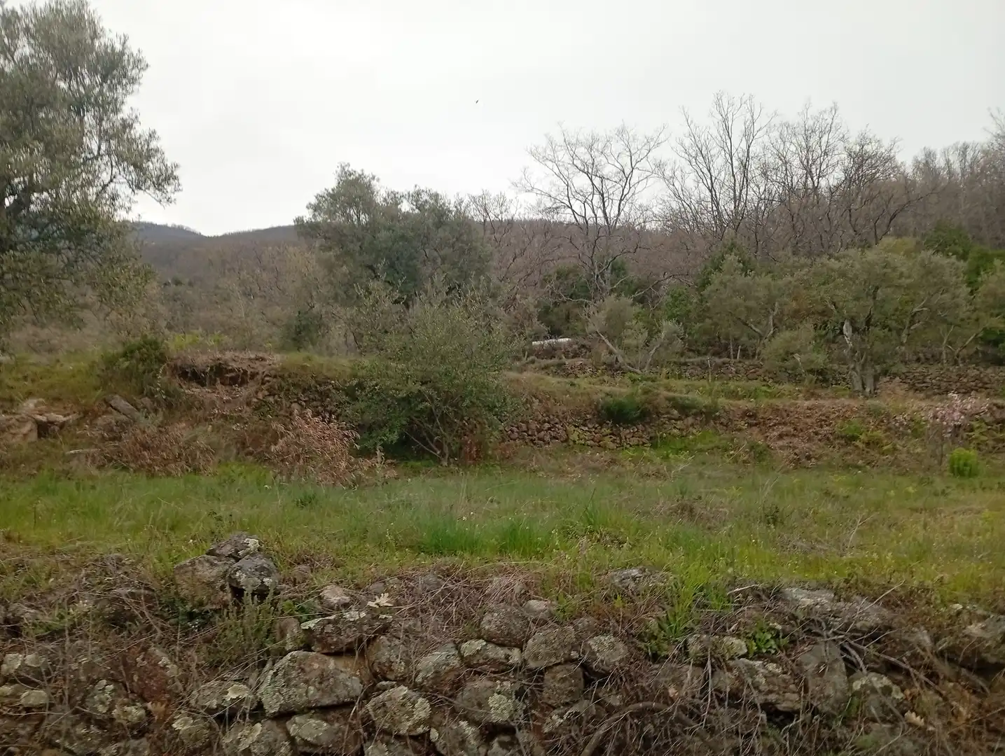 Terreni e lotti in vendita a Valverde de la Vera, imagen 4