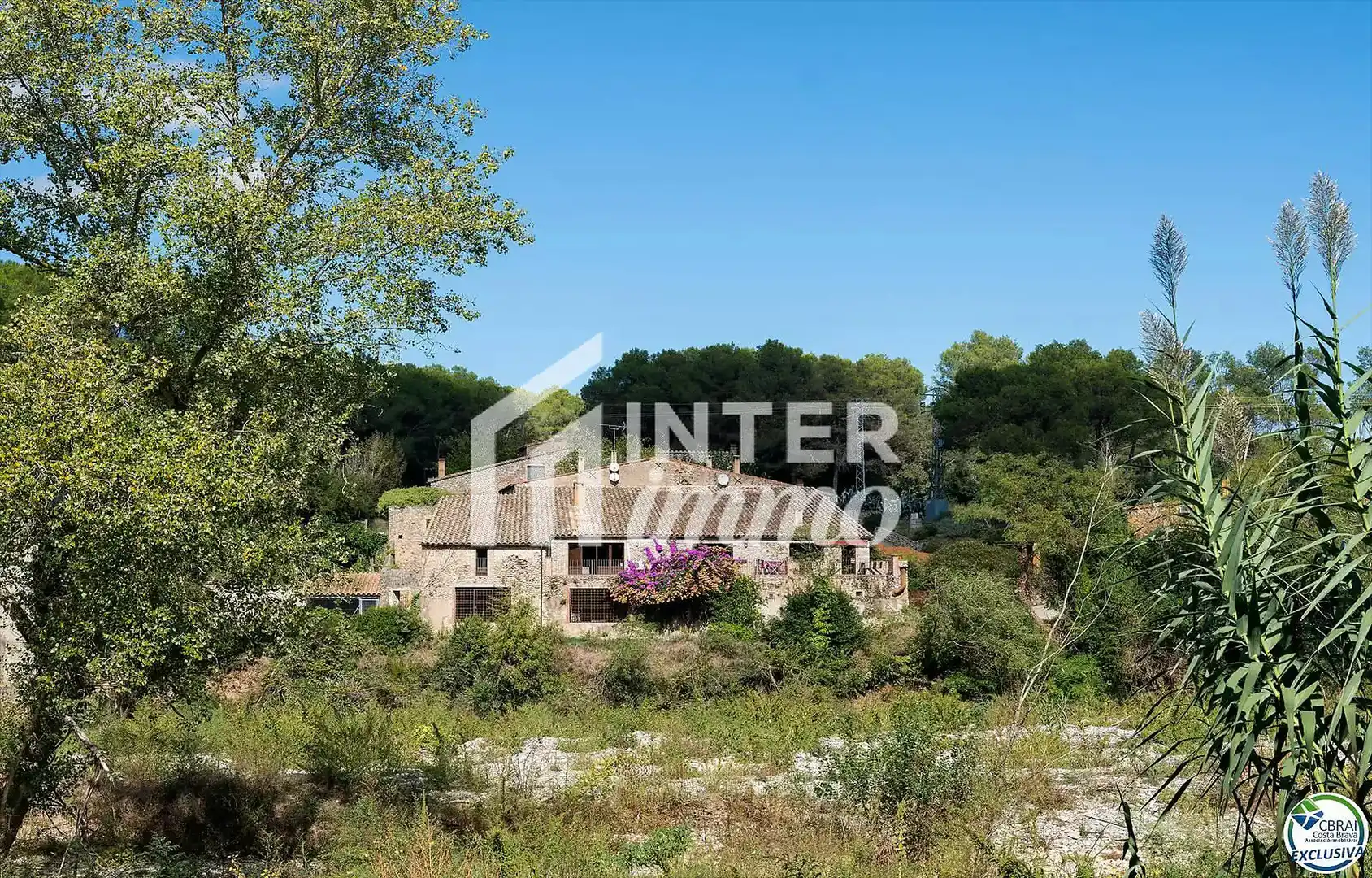 Casa con piscina en venta en Calle Cal Barquer s/n, imagen 5