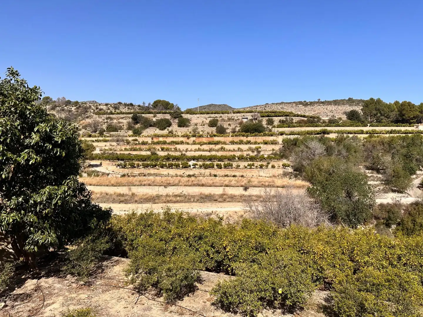 Residencial en venta en L'Atzúbia