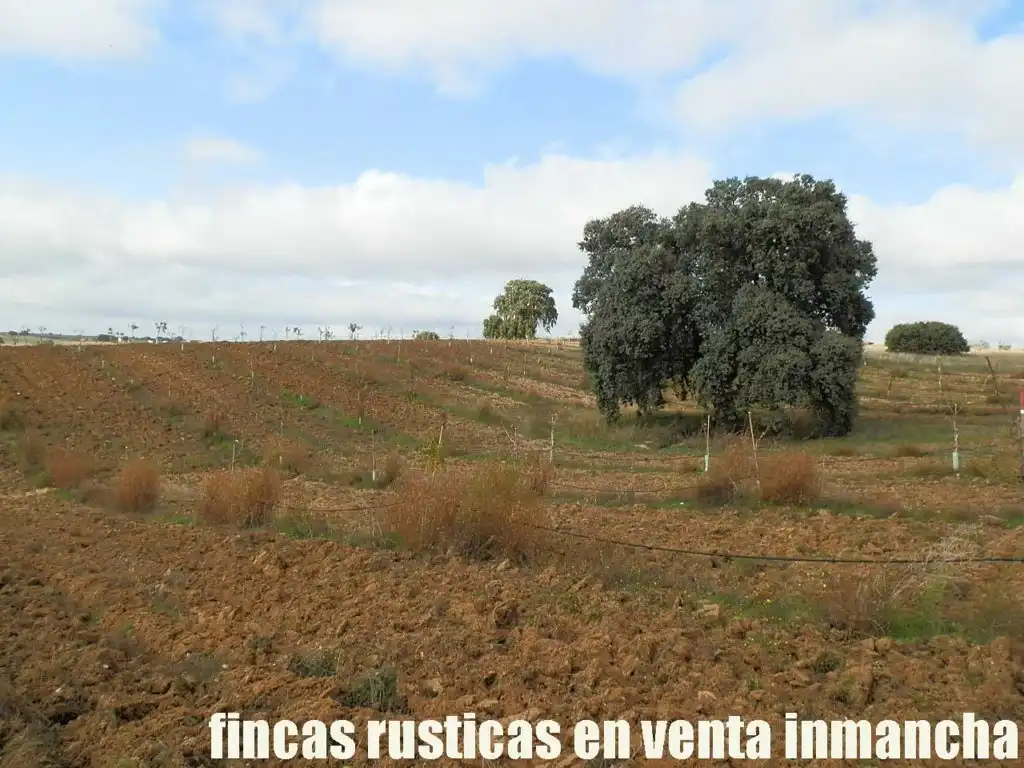 Terreni e lotti in vendita a Torrijos, imagen 6