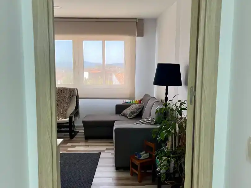 Wohnzimmer von Wohnungen zur Miete in Arzúa mit Parkett, Möbliert und Balkon