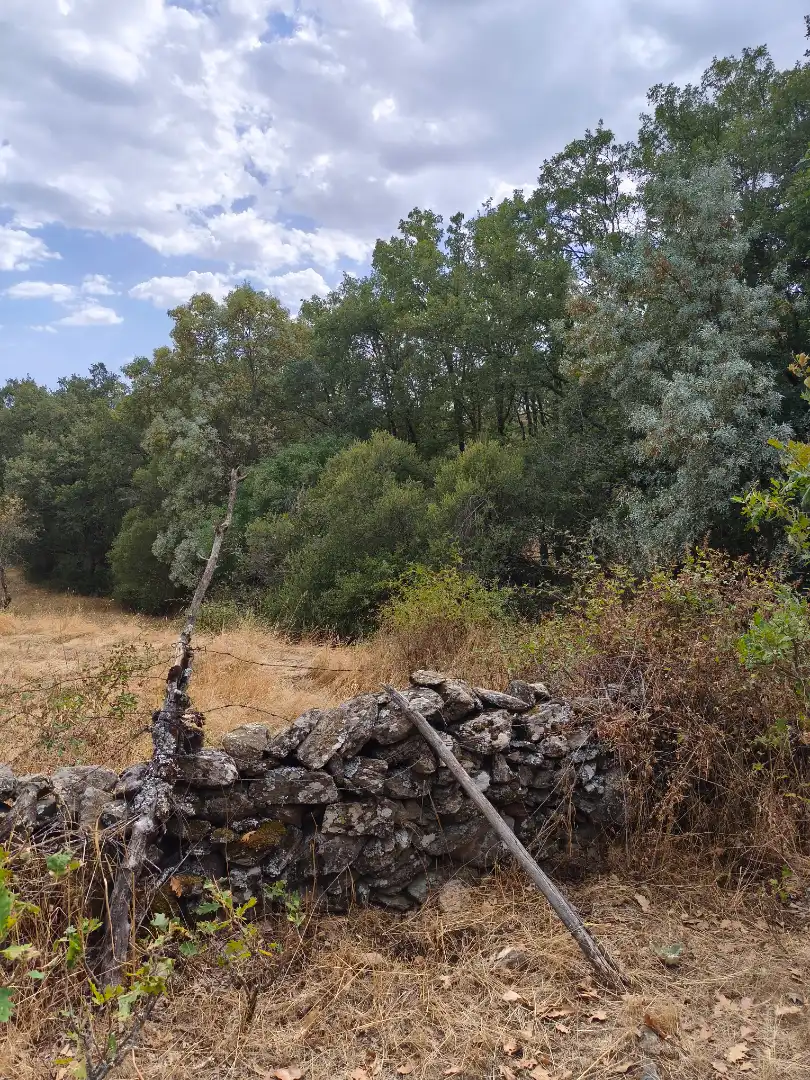 Terreno en venta en Piñuécar-Gandullas