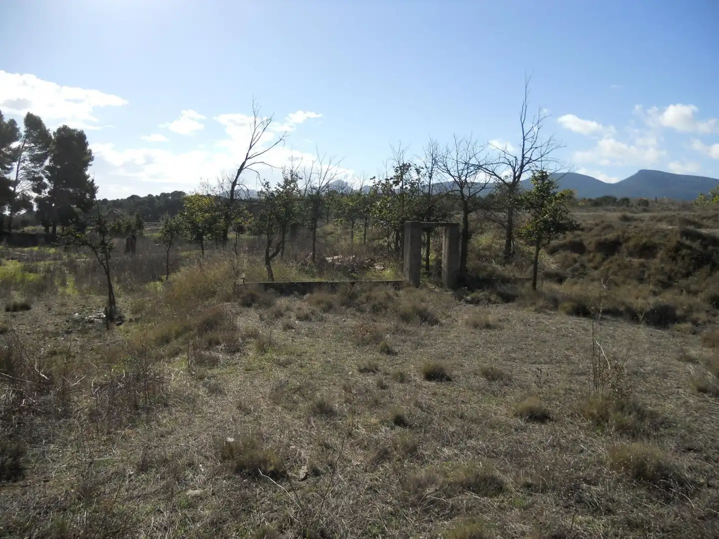 Country homes for sale in Castalla