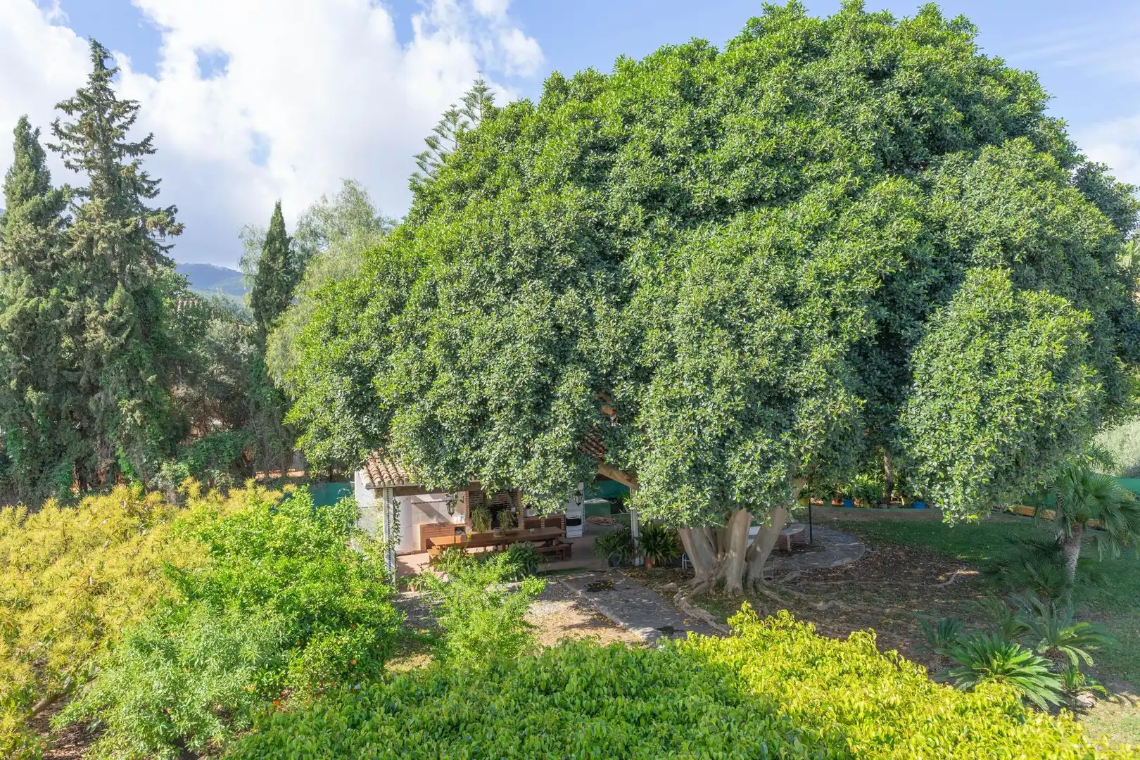 Villa mit Terrasse zum Verkauf in Centro, imagen 95