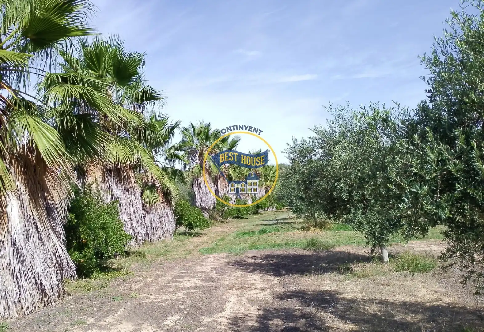 Terrenys i solars en venda a Agullent, imagen 19