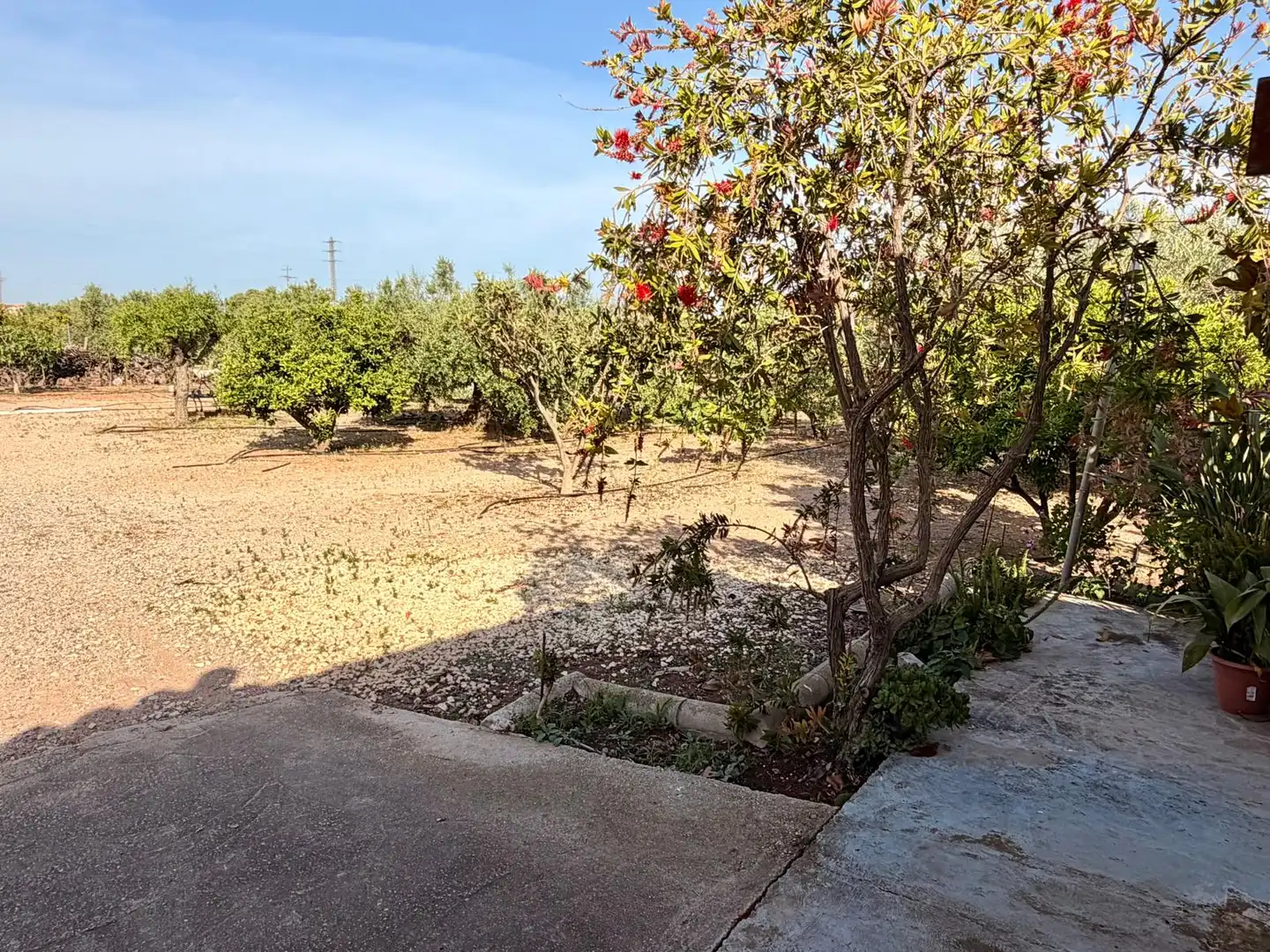 Finca rústica en venda en Mont-roig del Camp amb Calefacció i Jardí privat