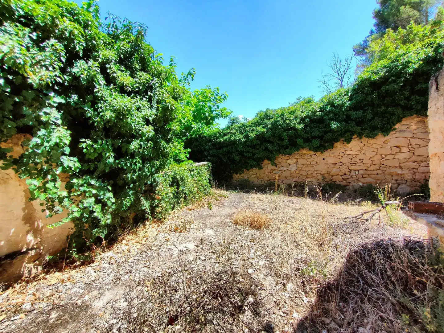Finca rústica en venta en Valderrobres