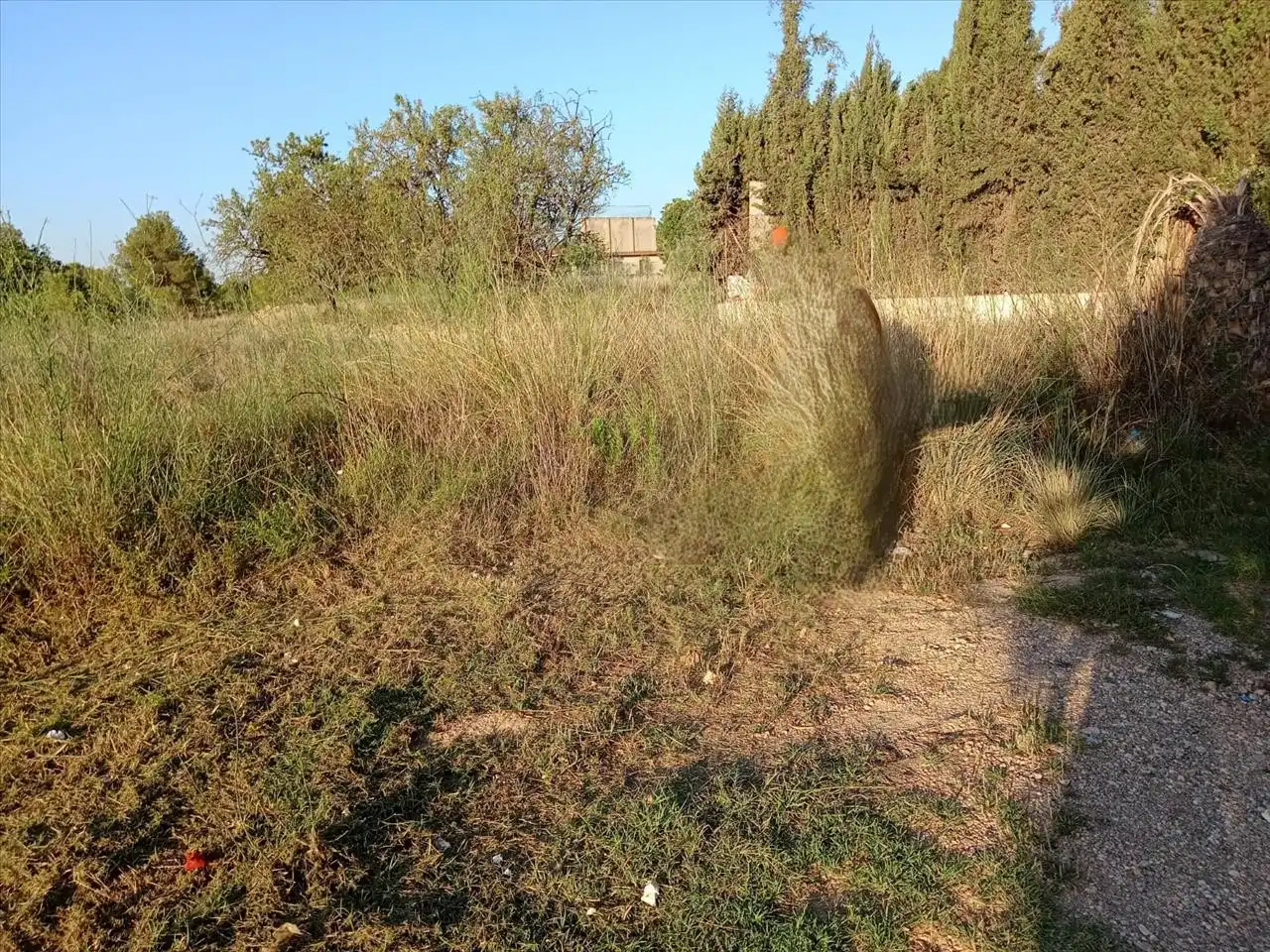 Wohnbaugrundstück zum Verkauf in 49, PARCELA, imagen 6