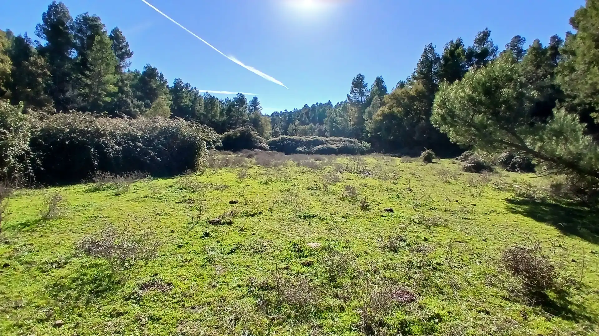 Terreno rustico in vendita a Calle Tremedal 13