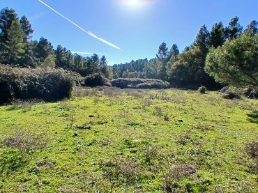 Terreno rustico in vendita a Calle Tremedal 13