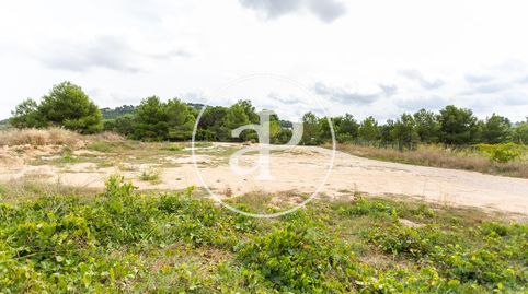 Photo 2 of Residential for sale in El Bosque, Chiva