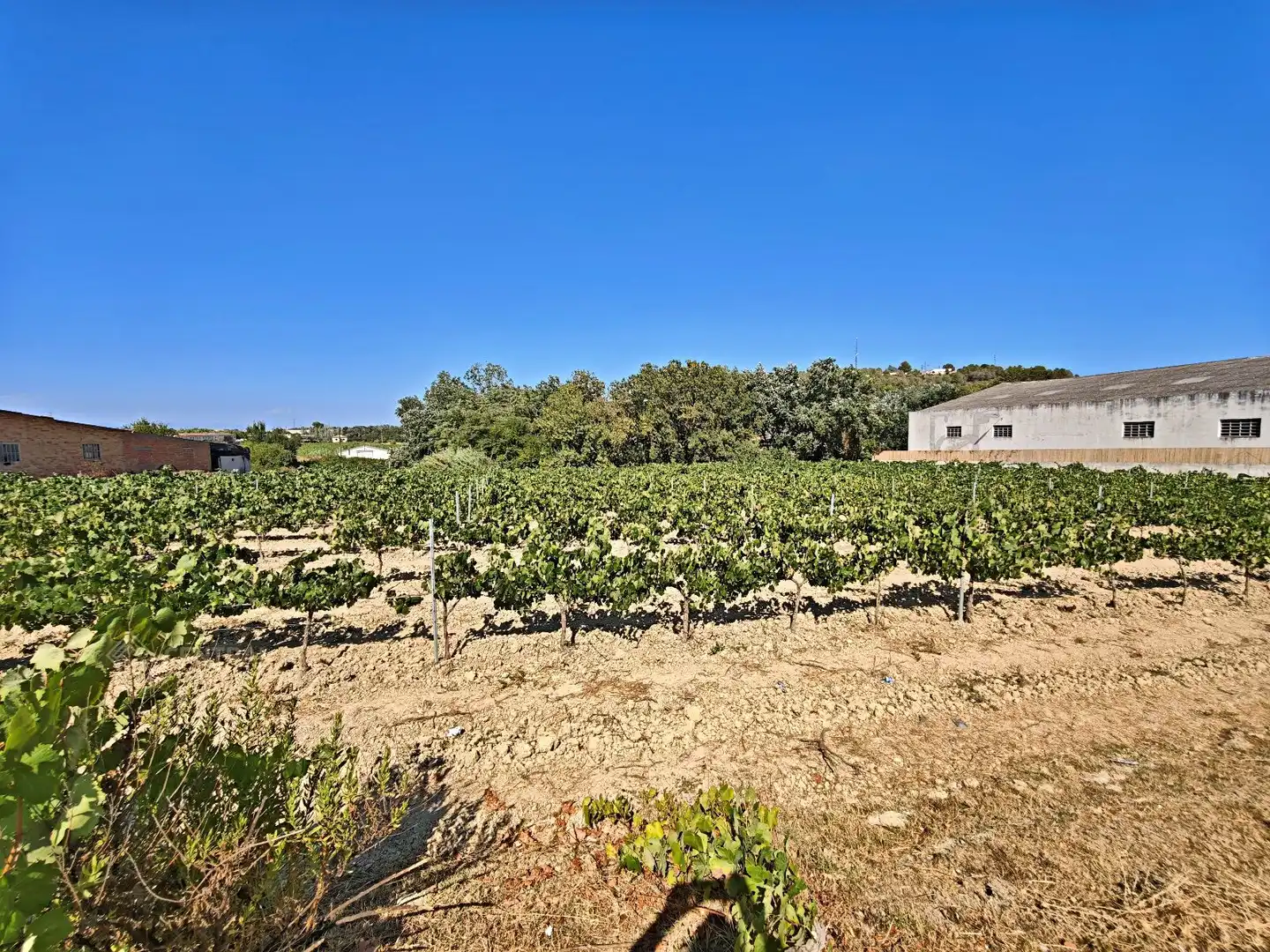 Casa o xalet en venda en Pacs del Penedès amb Calefacció, Terrassa i Traster