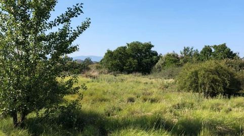 FINCA RÚSTICA - ENTRENA (), immagine 2