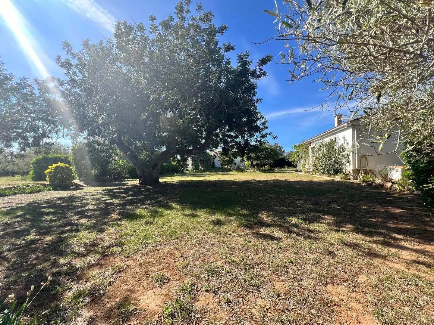 Haus oder Chalet zum Verkauf in La Ràpita mit Privatgarten, Terrasse und Möbliert