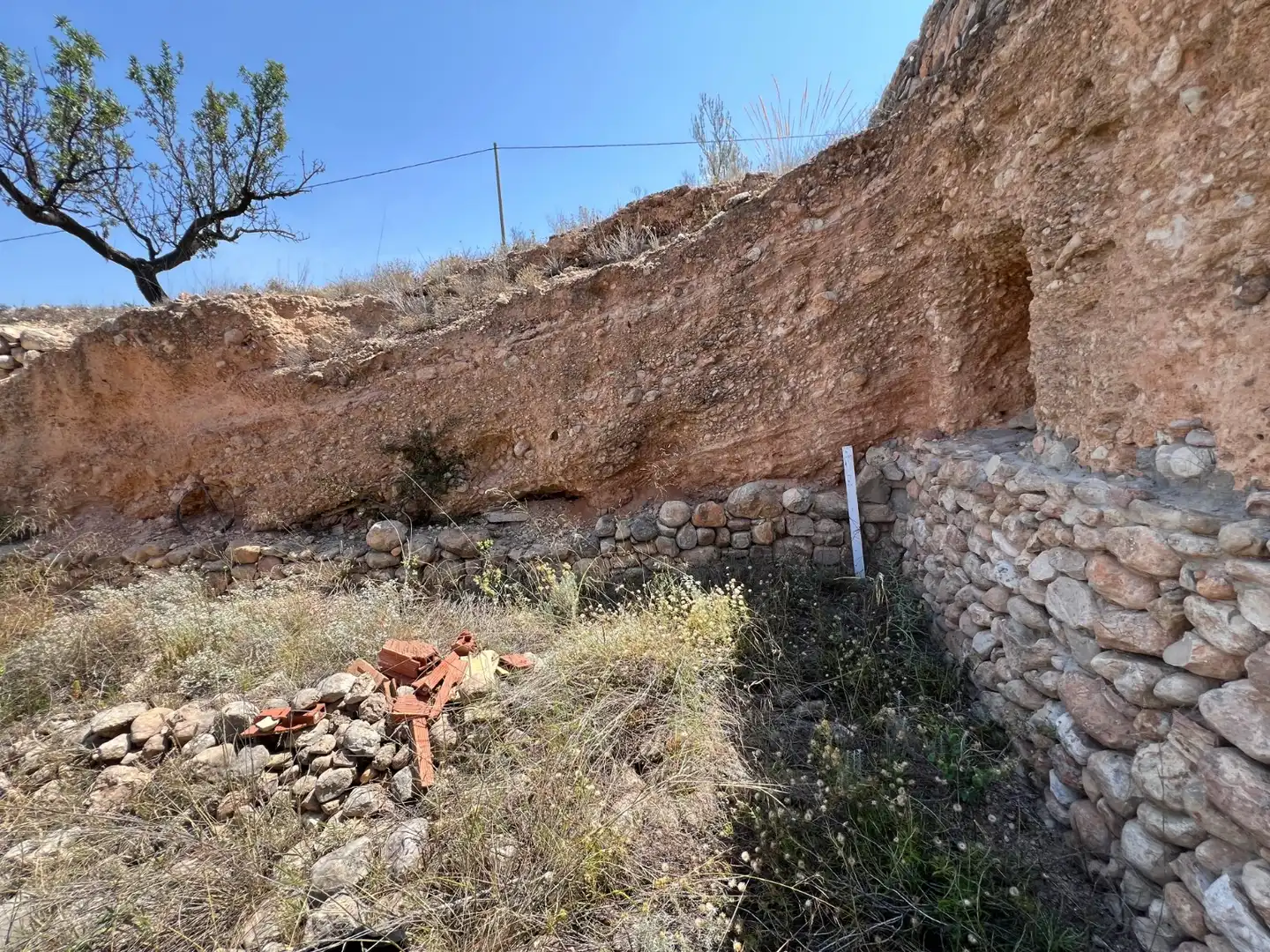 Rural land for sale in La Murada - Los Vicentes, imagen 19