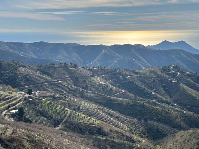 Terreno residencial en Venta en Cam. Altos de Jaboneros en Olías