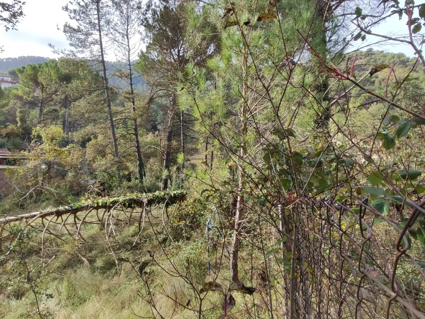 Terrain rustique à vendre à Monistrol de Calders, imagen 23