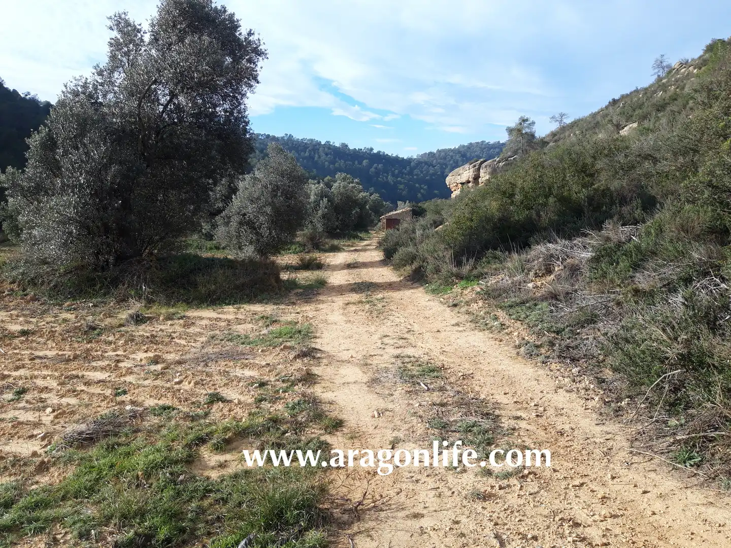 Finca rústica en venta en Batea