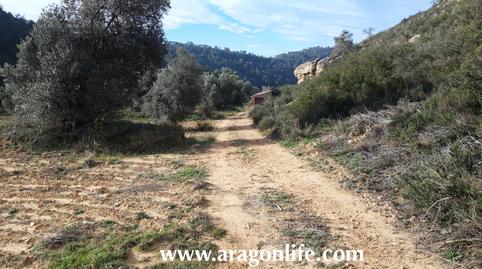 Photo 3 of Country house for sale in Travessera de la Caserna, Batea, Tarragona