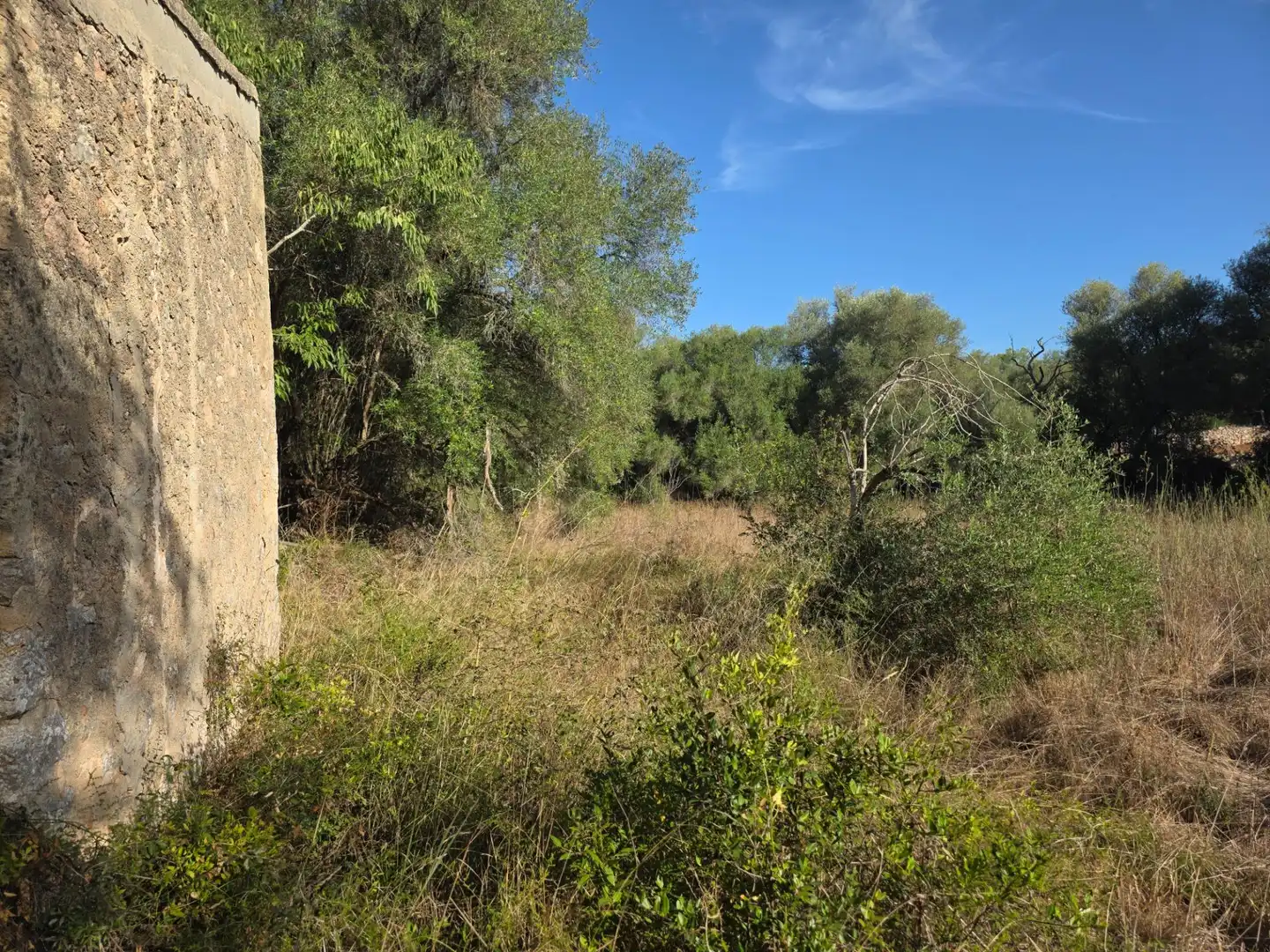 Finca rústica en venta en Costitx