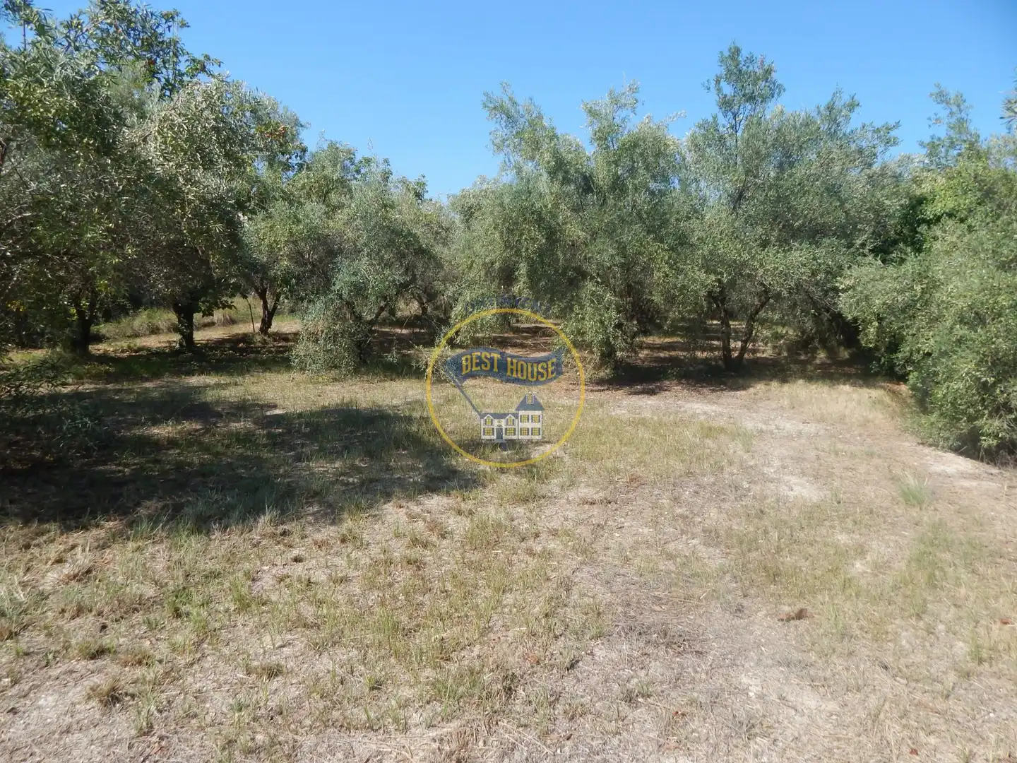 Terrain rustique à vendre à Sant Josep - Zona Hospital, imagen 15