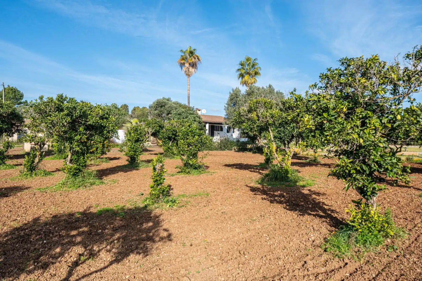 Haus oder Chalet zum Verkauf in Son Servera mit Klimaanlage, Heizung und Privatgarten