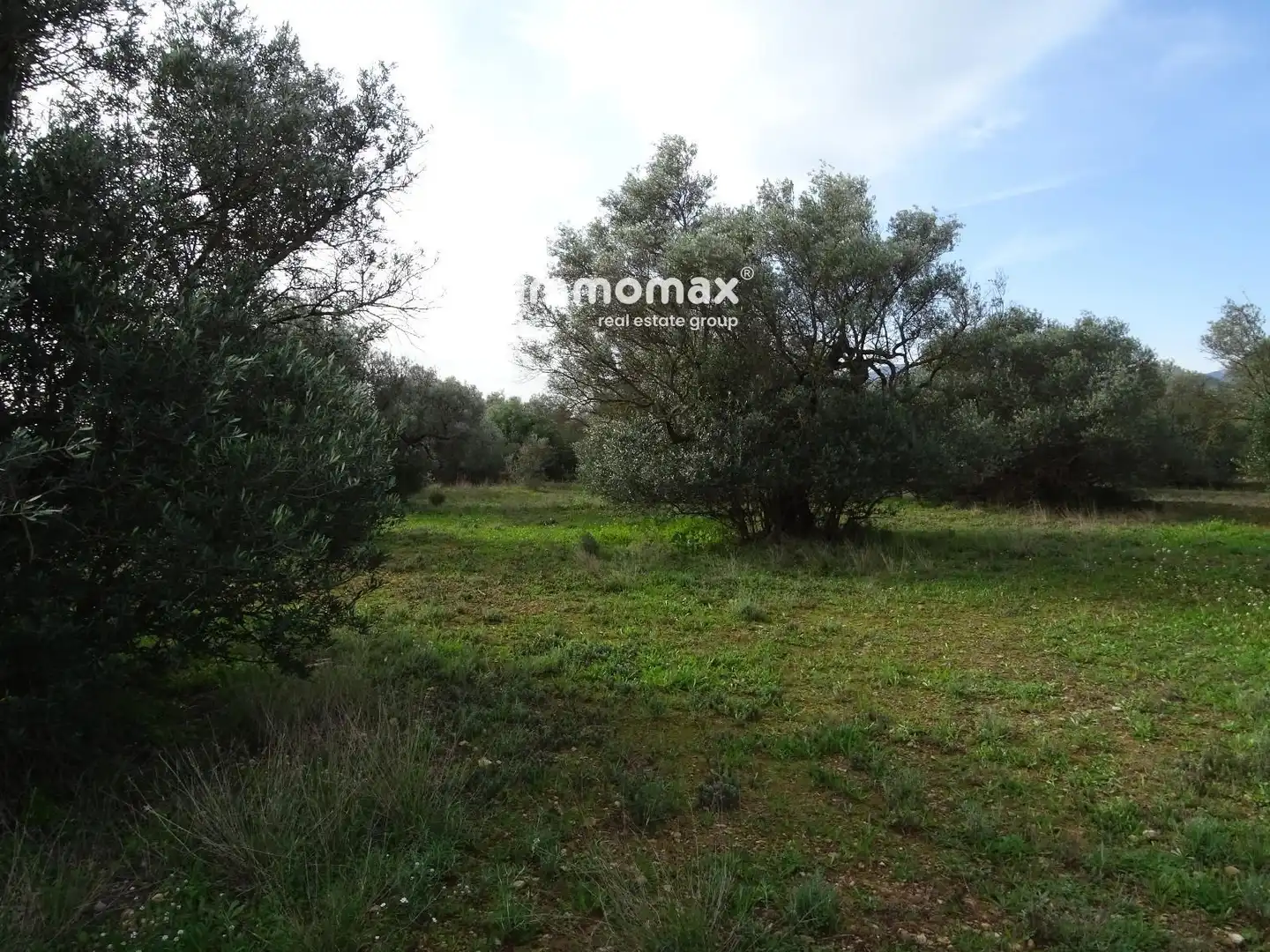Terrain résidentiel à vendre à 16, imagen 17