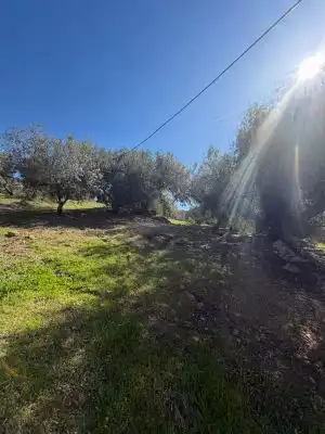Land for sale in Alfarnatejo