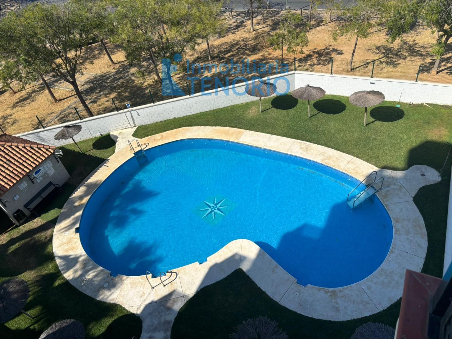 Swimming pool of Apartment for sale in La Antilla