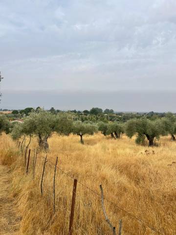 Terreno en Venta en Millanes, Spain, -1 en Millanes