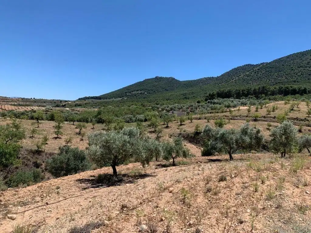 Terreno residencial en venta en Las Flores - Huerta, imagen 15