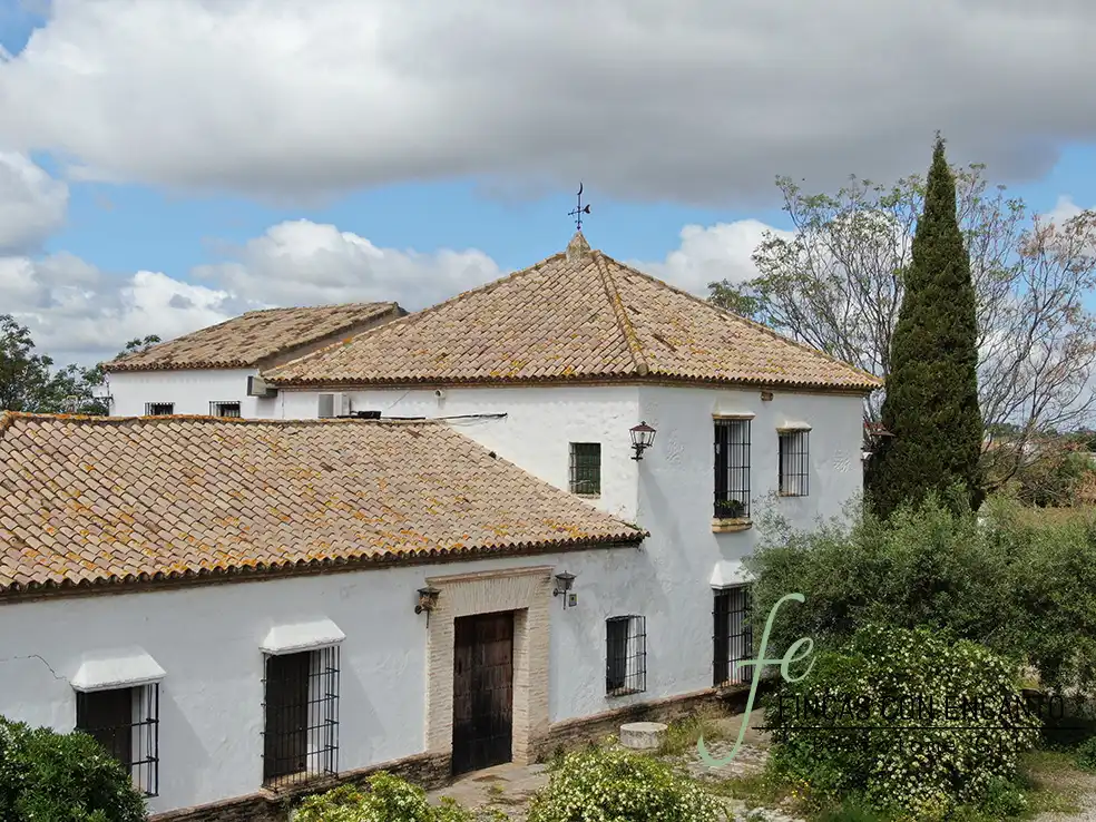 Vista exterior de Finca rústica en venda en Marchena amb Aire condicionat, Terrassa i Piscina