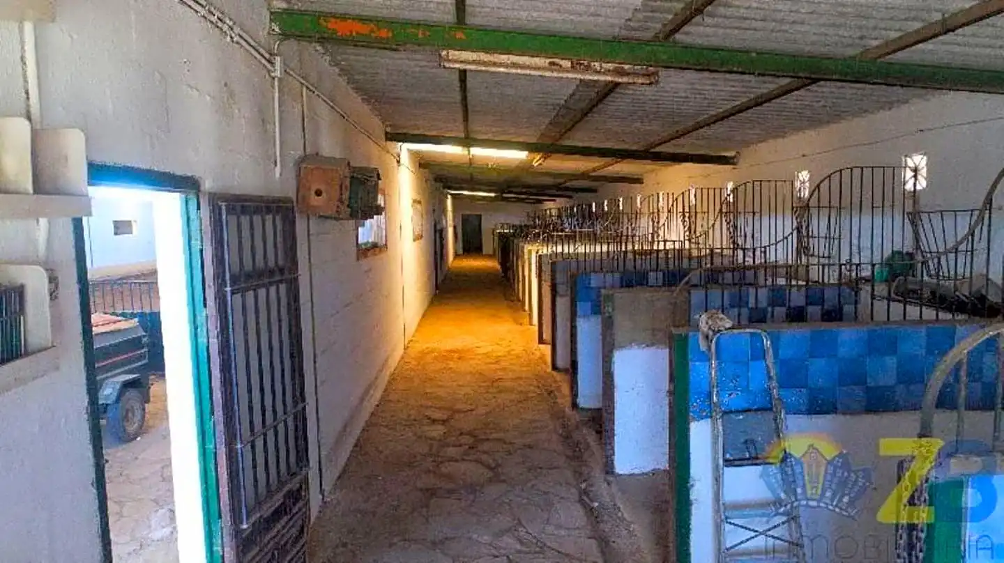 Industriegebäude zur Miete in CORTIJO DE MOLINA, imagen 12