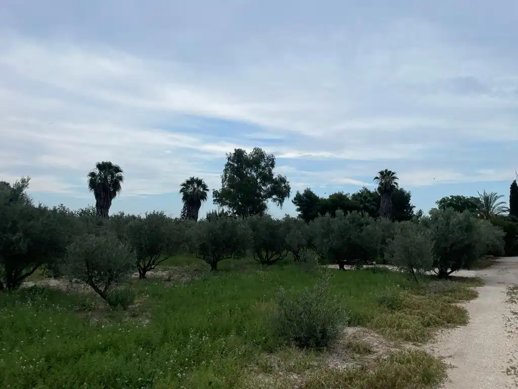 Terreno rustico in vendita a Dolores, imagen 28