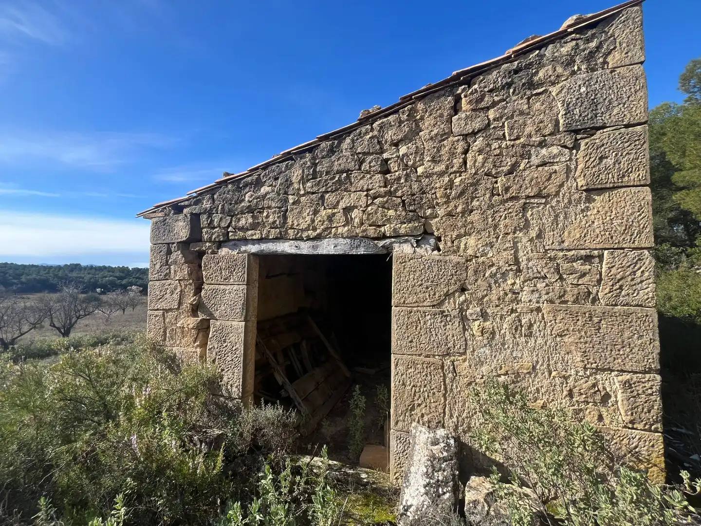 Terreni e lotti in vendita a Calaceite