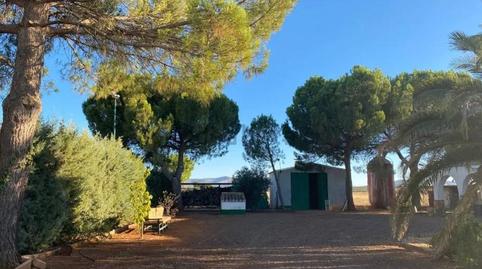 Photo 2 of House or chalet for sale in Granátula de Calatrava, Ciudad Real