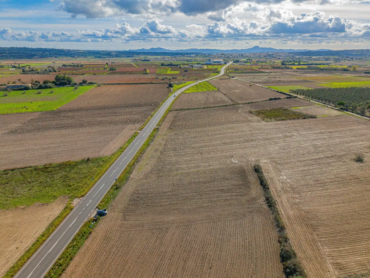 Rural land for sale in Carretera Carretera de Petra a Santa Margalida, imagen 8