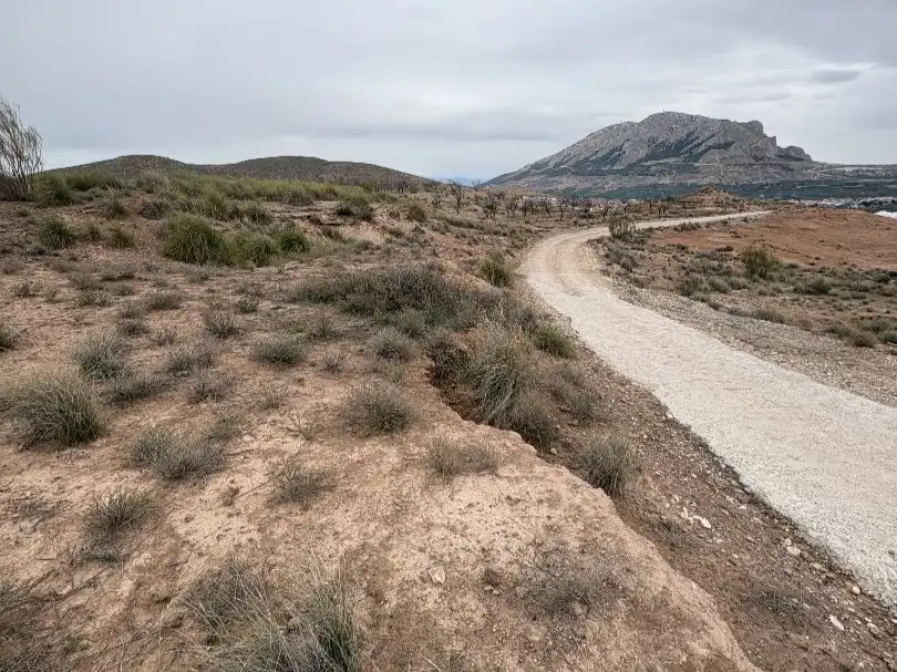 Terreno rustico in vendita a Carretera de Freila 190, imagen 11