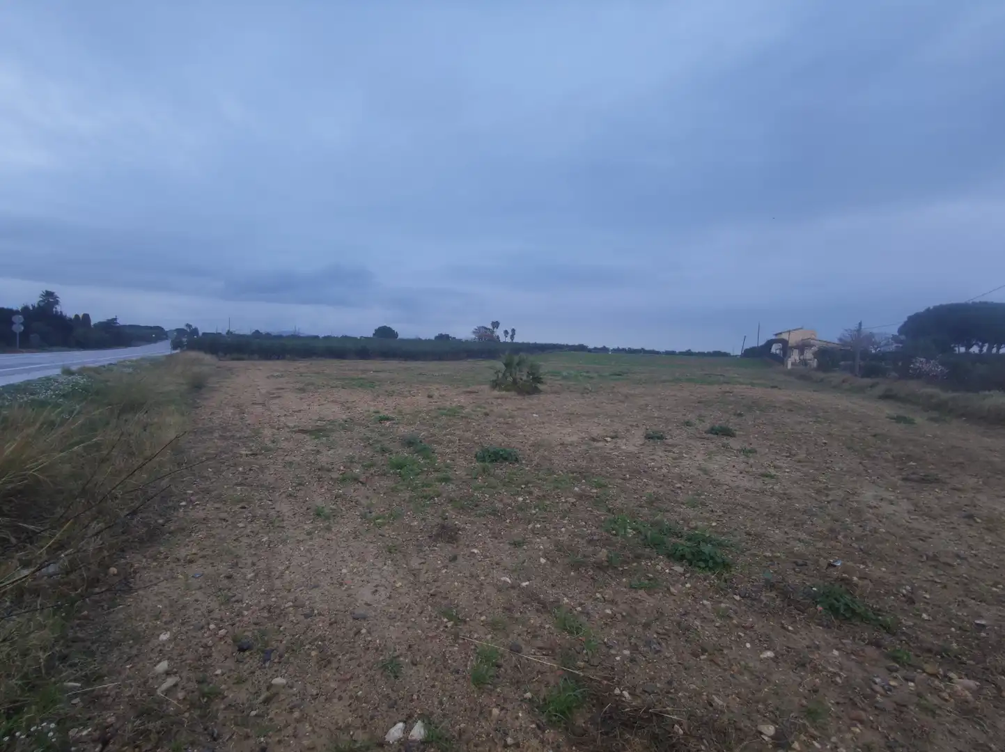Rural land for sale in Partida els Camps, imagen 3