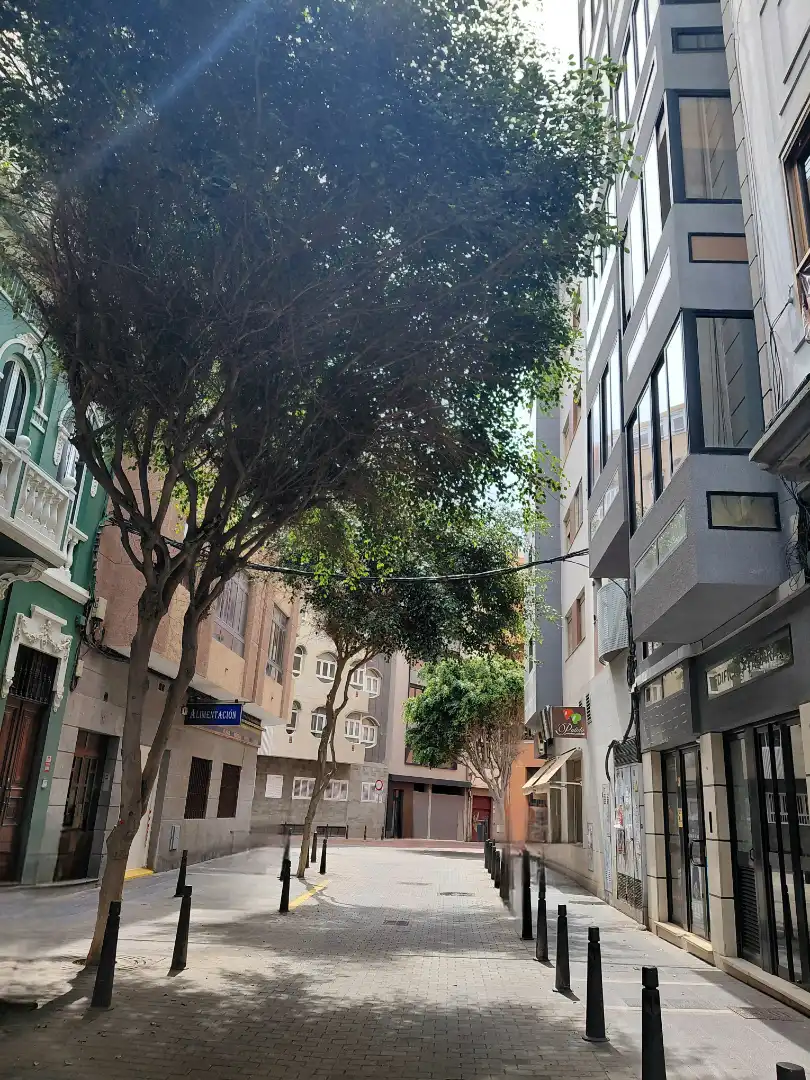 Vista exterior de Estudio de alquiler en Las Palmas de Gran Canaria con Amueblado, Lavadora y Microondas
