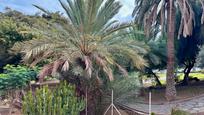 Garden of Flat for sale in Las Palmas de Gran Canaria