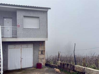 Vista exterior de Casa o xalet en venda en Castrelo de Miño amb Calefacció, Jardí privat i Terrassa