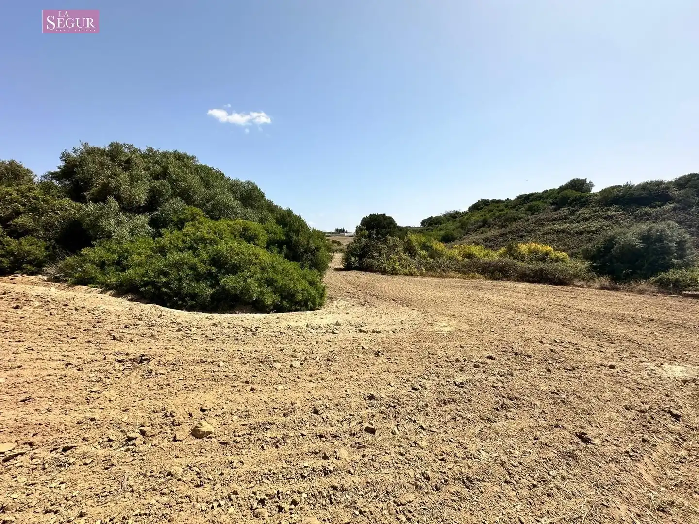 Rural land for sale in Conil