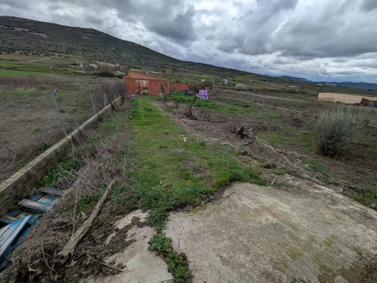 Terrenos y solares en venta en Piedrabuena, imagen 20