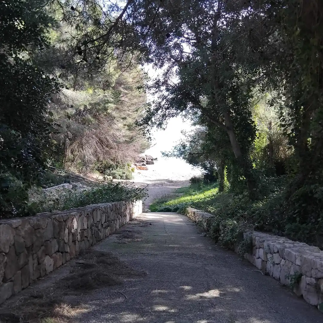 Vista exterior de Ático en venta en L'Ametlla de Mar  con Jardín privado, Terraza y Amueblado